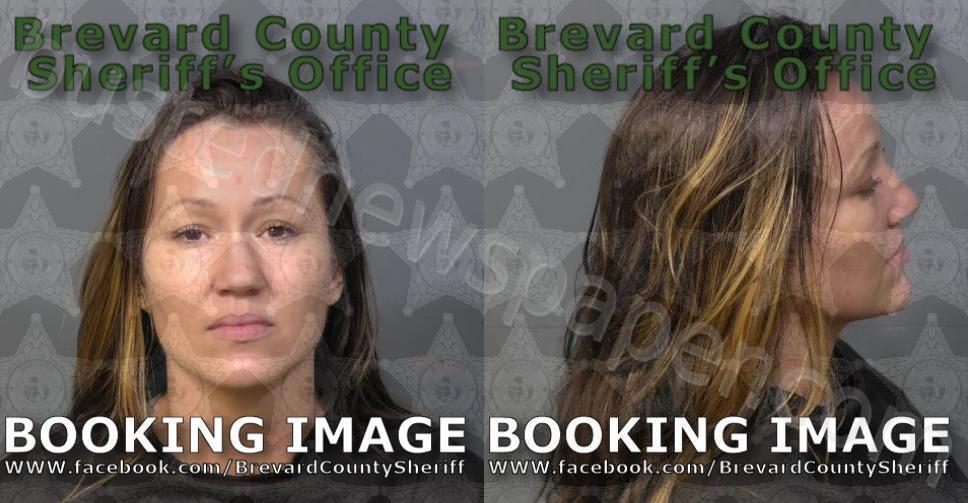 ALBAUGH, LAUREN ELYSE #, Brevard County, Florida - 2025-07-27 08:46:00