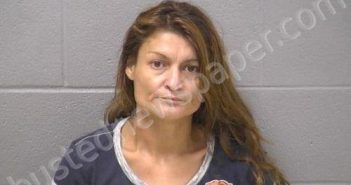 GONZALELZ-BORDA, VERONICA | 2025-07-27 19:35:00 Will County, Illinois Booking