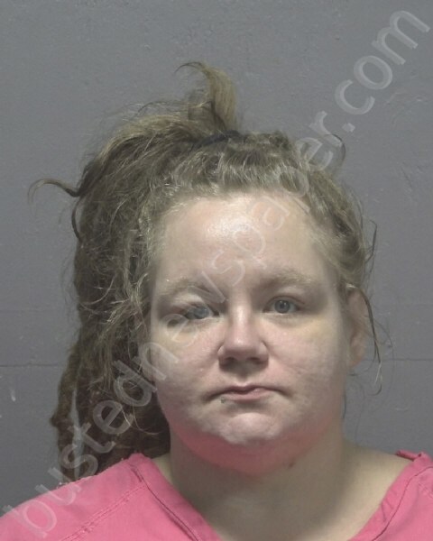 THOMPSON, ASHLEY MICHELLE #, New Hanover County, North Carolina - 2025-07-28