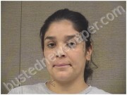 CASTILLO, NANCY | 2025-07-28 Harnett County, North Carolina Booking