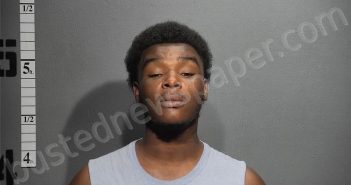 WAGNER, SENAAJ | 2025-07-28 23:42:00 Western Tidewater, Virginia Booking