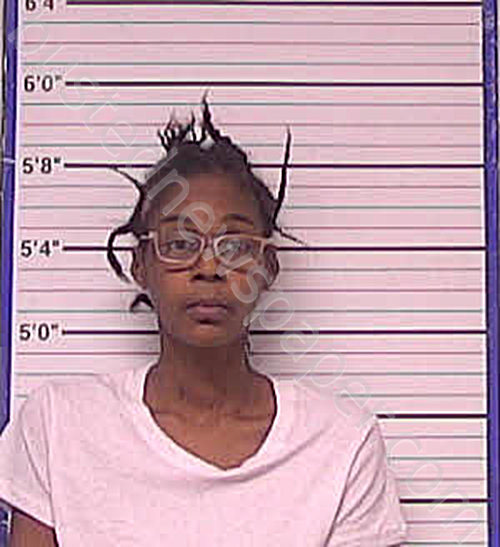 TANKSLEY, LEANDRA RENEE #, Bladen County, North Carolina - 2025-07-29 18:08:00