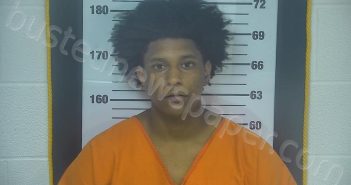 POUNDS, TANARO LAVELL | 2025-07-29 18:24:00 Ottawa County, Ohio Booking