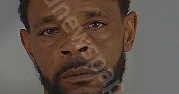 GREGORY EUGENE ISOM | 2025-07-29 17:59:00 Lake County, Florida Booking