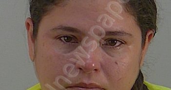 LUISA JULIA RODRIGUEZ | 2025-07-29 08:00:00 Lake County, Florida Booking