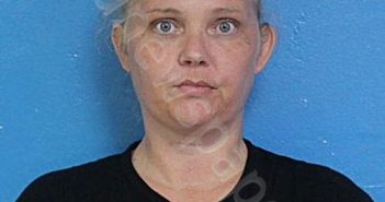 MCCONNELL, JACLYN M | 2025-07-30 22:01:13 Sullivan County, Tennessee Booking