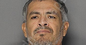 RANGEL PALOMINO, LUIS | 2025-07-31 14:01:21 Ellis County, Texas Booking