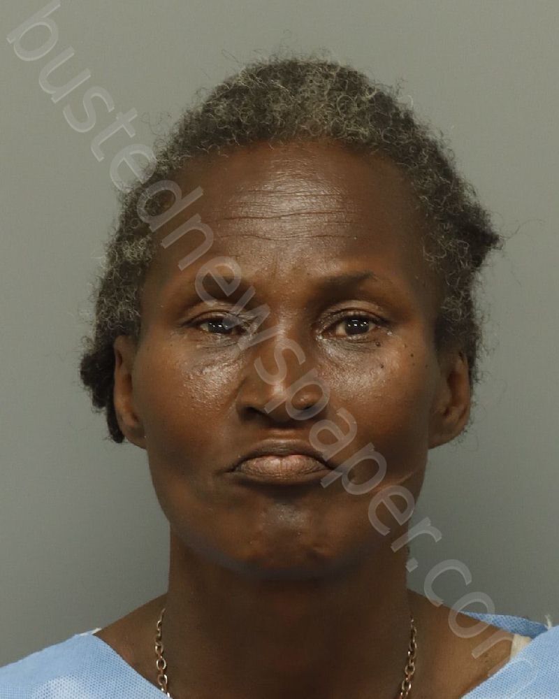 MULLINGS, LISA ANN #, Wake County, North Carolina - 2025-07-31 17:35:00