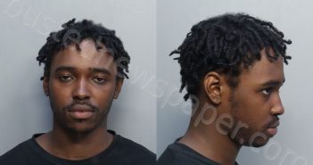 LAVALLEYLAWS, QWAYLYN LEVI | 2025-07-31 11:53:00 Miami-Dade County, Florida Booking