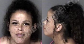 <B>AYERS</B>, <B>AMBER</B> <B>RENEE</B> #, Gaston County, North Carolina - 2025-08-01 22:19:00