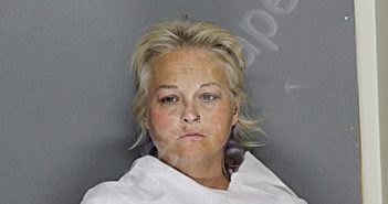 SWANN, ASHLEE JOAN | 2025-08-01 12:32:00 Ellis County, Texas Booking