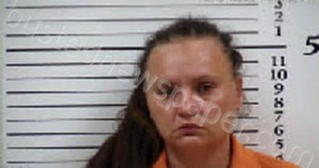 WILSON WHITTINGHAM, TIFFANY DIANNE | 2025-08-01 14:00:00 Cherokee County, North Carolina Booking