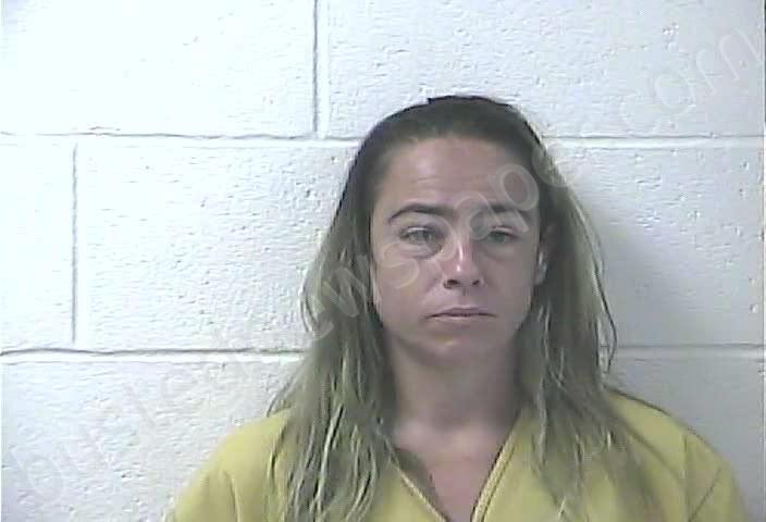 SAJDYK-BOYER, KIMBERLY DAWN #, Daviess County, Kentucky - 2025-08-02 04:47:00