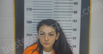 RENO, HALEY M | 2025-08-03 03:49:00 Ottawa County, Ohio Booking