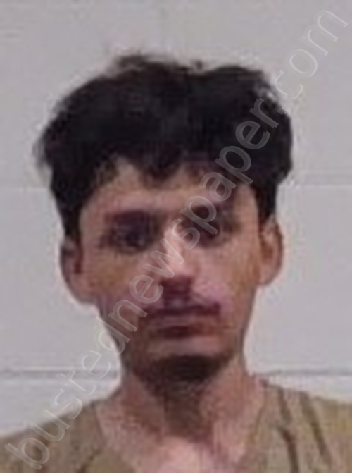 HERNANDEZ, ALEX E #, Elkhart County, Indiana - 2025-08-03