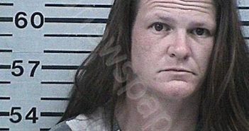 WILSON, KALLIE NICHOLE | 2025-08-05 11:59:21 Hood County, Texas Booking