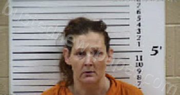 LEONARD, PRISCILLA MARIE | 2025-08-05 00:16:00 Cherokee County, North Carolina Booking