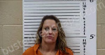 MARTIN, SHANA DARLENE | 2025-08-06 16:26:00 Cherokee County, North Carolina Booking