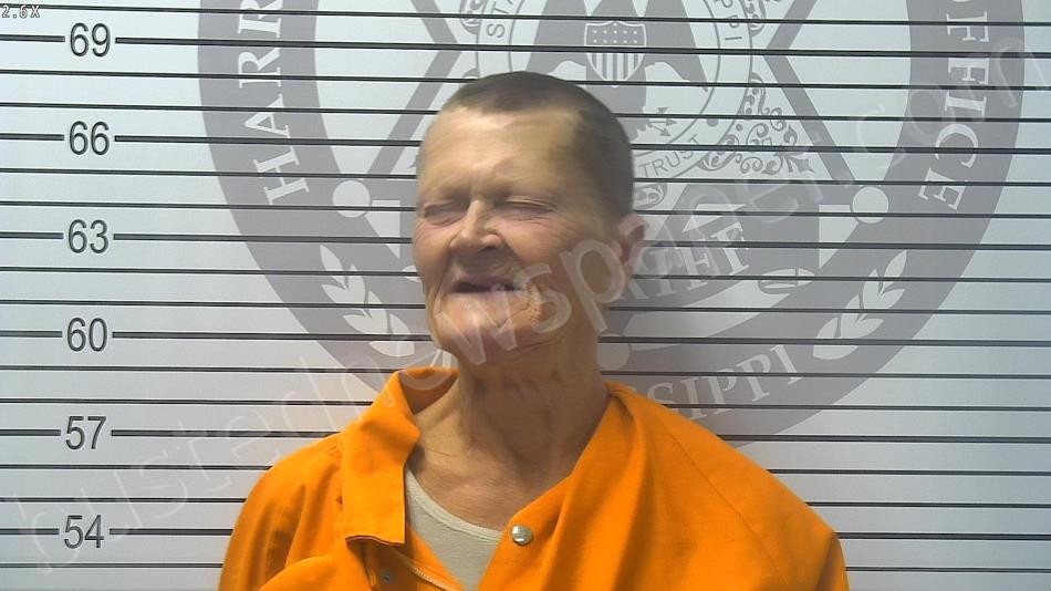 JOHNSON, JULIET ANNE #, Harrison County, Mississippi - 2025-08-06 13:35:00