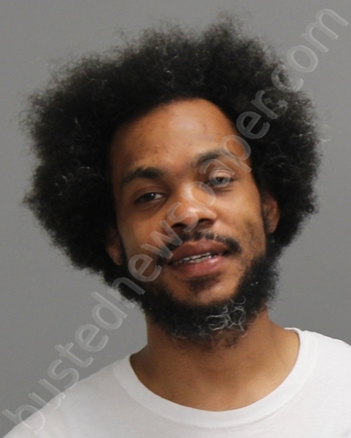 LOTT, RONNIE JAMES #, Brazos County, Texas - 2025-08-07