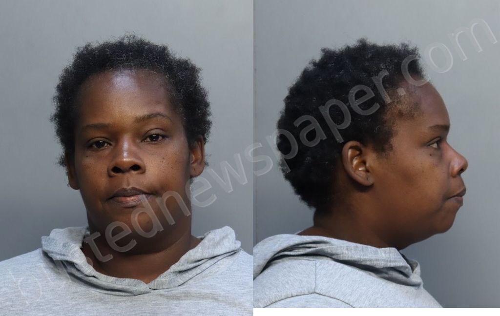 ALFORD, NIGER #, Miami-Dade County, Florida - 2025-08-07 15:25:00