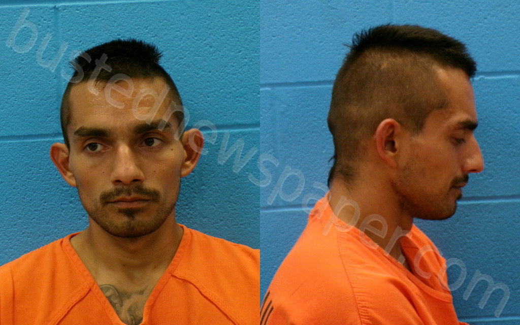 LOMAS, ROGER ELIJAH ALEXANDER #, Guadalupe County, Texas - 2025-08-07