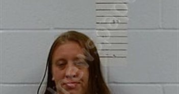 MANIS CARRINGTON, DESEREE BROOKE ANNE | 2025-08-07 22:31:00 Lincoln County, Arkansas Booking