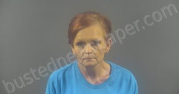 <B>BUTLER</B>, <B>MICHELLE</B> <B>RENEE</B> #, Warren County, Kentucky - 2025-08-08 03:21:00