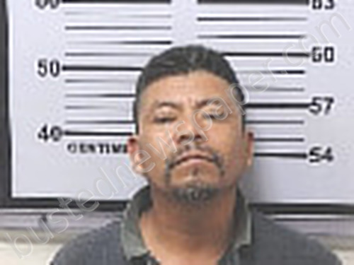 MATEO, ESTEBAN PEDRO #, Mobile County, Alabama - 2025-08-09