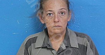 HEARL, ANGELA MARIE | 2025-08-10 23:59:00 Sullivan County, Tennessee Booking