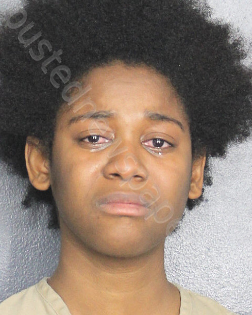 NICHOLAS, ALESHA PAULA #, Broward County, Florida - 2025-08-10