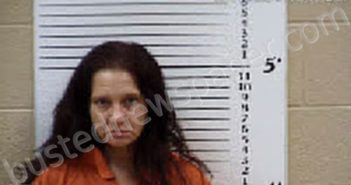SHAW, DEANNA MARIE | 2025-08-11 21:20:00 Cherokee County, North Carolina Booking