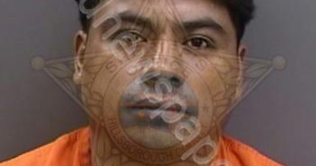 <B>HERNANDEZ</B> JIMENEZ,<B>PEDRO</B> #, Hillsborough County, Florida - 2025-08-11 07:45:00