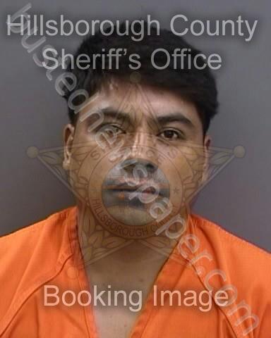 HERNANDEZ JIMENEZ,PEDRO #, Hillsborough County, Florida - 2025-08-11 07:45:00