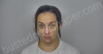 <B>ELIZARREY</B>, <B>NIKKI</B> <B>MARIE</B> #, Burleigh County, North Dakota - 2025-08-11 16:06:00