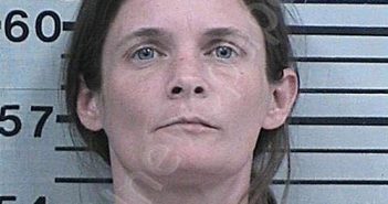 GAILEY, PATRICIA ANN | 2025-08-12 16:57:34 Hood County, Texas Booking
