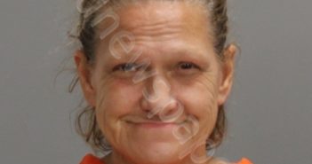 <B>WHITLEY</B>, <B>BETH</B> <B>ELLEN</B> #, Brazos County, Texas - 2025-08-12