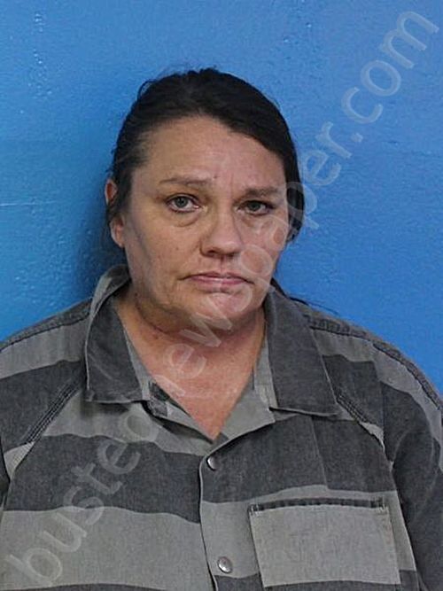 TAYLOR, REBECCA ANN #, Sullivan County, Tennessee - 2025-08-12 02:03:00
