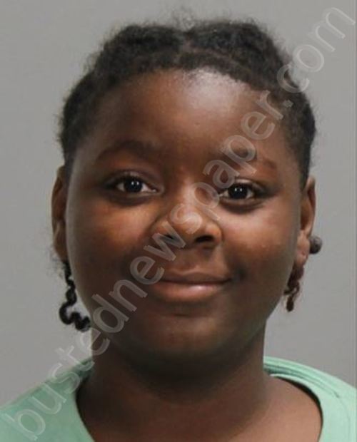 TERRELL, DATAYSHIA MEAIEA LASHELLE #, Brazos County, Texas - 2025-08-12