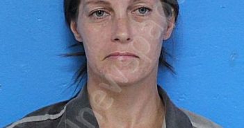 MILLER, APRIL RENA | 2025-08-12 16:37:52 Sullivan County, Tennessee Booking