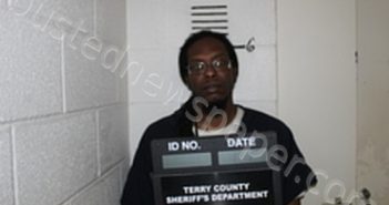 MICHAEL OWENS | 2025-08-13 14:18:00 Terry County, Texas Booking