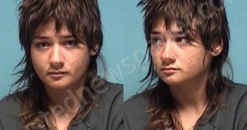 LONG, CHLOE H | 2025-08-13 04:31:00 Lorain County, Ohio Booking