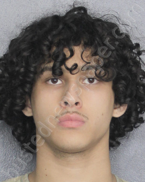 MARIN, DANIEL RAMON #, Broward County, Florida - 2025-08-15