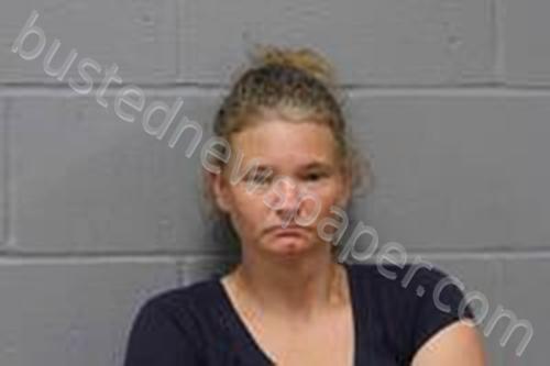 MARY ELIZABETH DICKENS #, Johnson County, Missouri - 2025-08-15 21:00:00