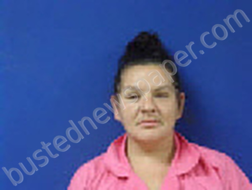 JACOBS, BRANDY NICOLE #, Sampson County, North Carolina - 2025-08-15 15:31:00