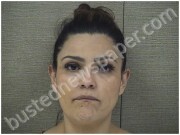 NAVARRO, EDITH | 2025-08-15 Harnett County, North Carolina Booking