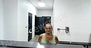 STALLINGS, TONYA | 2025-08-16 13:48:00 Fulton County, Arkansas Booking