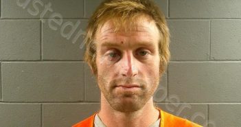 WISHON, DENNIS MIKELE | 2025-08-17 08:09:00 Mcdonald County, Missouri Booking