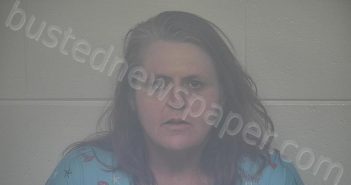 ADAMS, ANGELA | 2025-08-17 23:37:00 Carroll County, Kentucky Booking