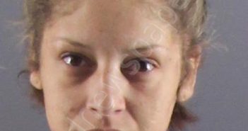 STREETER, NICOLLETTE S | 2025-08-17 Peoria County, Illinois Booking